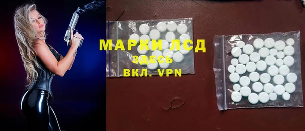 ECSTASY Алзамай