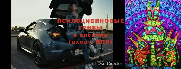 шишки Алексин