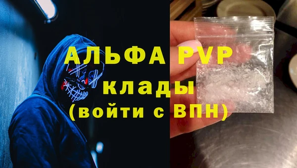 ECSTASY Алзамай