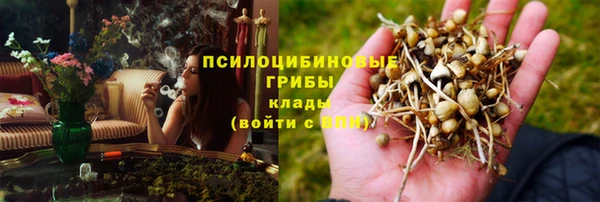 шишки Алексин