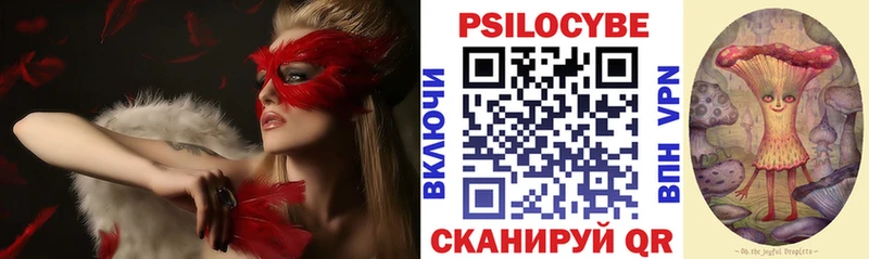 Псилоцибиновые грибы мицелий Долинск